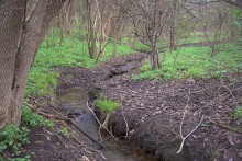 Весна в балке Клиновой