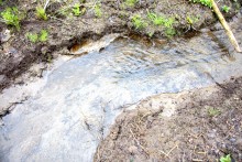 Весна в балке Клиновой