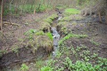 Весна в балке Клиновой