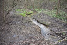 Весна в балке Клиновой