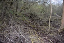 Весна в балке Клиновой