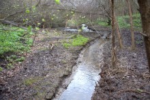 Весна в балке Клиновой