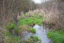 Весна в балке Клиновой