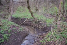 Весна в балке Клиновой