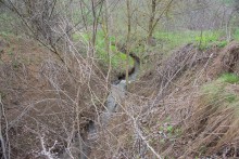 Весна в балке Клиновой