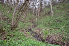 Весна в балке Клиновой