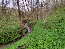 Весна в балке Клиновой