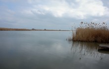 Старый причал в Дальнем
