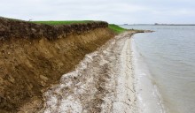 Путешествие по северному берегу Весёловского водохранилища за тюльпанами