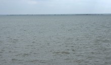 Путешествие по северному берегу Весёловского водохранилища за тюльпанами