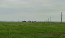 Путешествие по северному берегу Весёловского водохранилища за тюльпанами