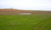 Путешествие по северному берегу Весёловского водохранилища за тюльпанами