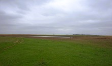 Путешествие по северному берегу Весёловского водохранилища за тюльпанами