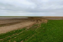 Путешествие по северному берегу Весёловского водохранилища за тюльпанами