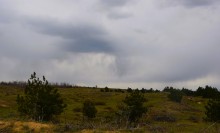 В старых и новых Кундрюченских лесах