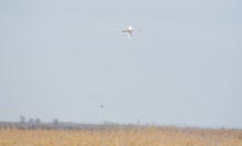 Путешествие в апреле по берегам Весёловского водохранилища