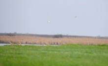 Путешествие в апреле по берегам Весёловского водохранилища