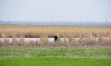 Путешествие в апреле по берегам Весёловского водохранилища