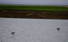 Путешествие в апреле по берегам Весёловского водохранилища