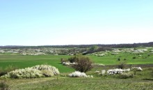 Весенняя цветущая долина Тузлова