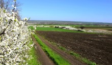 Весенняя цветущая долина Тузлова