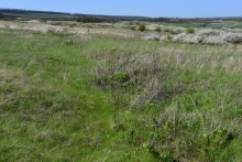 Метод открытого минирования "кочками" полковника Старинова, применённый на Ростовском оборонительном кольце в 1942-м году