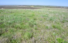 Метод открытого минирования "кочками" полковника Старинова, применённый на Ростовском оборонительном кольце в 1942-м году