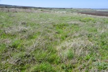 Метод открытого минирования "кочками" полковника Старинова, применённый на Ростовском оборонительном кольце в 1942-м году