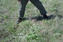 Метод открытого минирования "кочками" полковника Старинова, применённый на Ростовском оборонительном кольце в 1942-м году