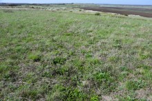 Метод открытого минирования "кочками" полковника Старинова, применённый на Ростовском оборонительном кольце в 1942-м году