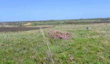 Метод открытого минирования "кочками" полковника Старинова, применённый на Ростовском оборонительном кольце в 1942-м году