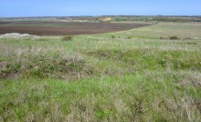 Метод открытого минирования "кочками" полковника Старинова, применённый на Ростовском оборонительном кольце в 1942-м году