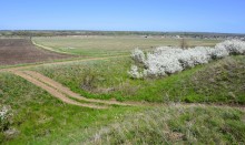 Метод открытого минирования "кочками" полковника Старинова, применённый на Ростовском оборонительном кольце в 1942-м году