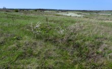 Метод открытого минирования "кочками" полковника Старинова, применённый на Ростовском оборонительном кольце в 1942-м году