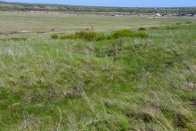 Метод открытого минирования "кочками" полковника Старинова, применённый на Ростовском оборонительном кольце в 1942-м году