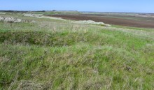 Метод открытого минирования "кочками" полковника Старинова, применённый на Ростовском оборонительном кольце в 1942-м году