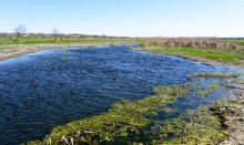 Тузлов ветренной весной