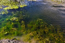 Тузлов ветренной весной