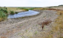Тузлов в засушливое лето