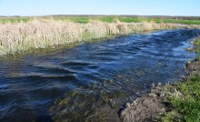 Тузлов ветренной весной