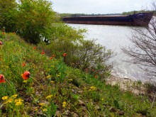 На стрелке Дона и Аксая в конце апреля