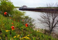 На стрелке Дона и Аксая в конце апреля