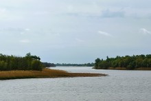 На стрелке Дона и Аксая в конце апреля