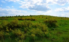 Вёшенская и окрестности