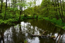 Вёшенская и окрестности