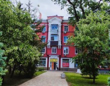 Черёмухи на площади Мира