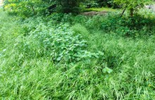 Дворы старого Сельмаша