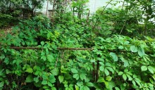 Дворы старого Сельмаша