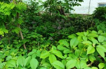 Дворы старого Сельмаша