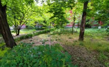 Дворы старого Сельмаша